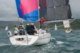 adelante gbr1007l whyw23 sun 800 3342